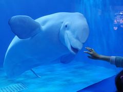 -多彩贵州城极地海洋世界