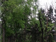 -长春市南湖公园