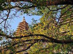 -北京石刻艺术博物馆(五塔寺)