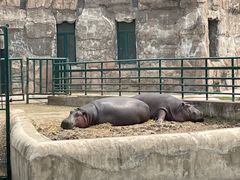 -哈尔滨北方森林动物园