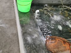 -阔澜蒸汽海鲜自助