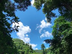 -野象谷景区