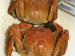 大闸蟹-顺丰轩园林酒家(天河店)