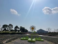 -春花秋色城市公园