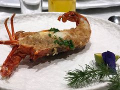 -蒲叙(凯天国际店)