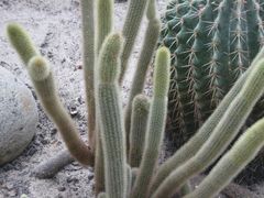 -广东茂名森林公园