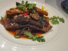 -鱼翅楼·津派砂锅鱼翅(水上公园店)