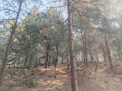 -北京十三陵国家森林公园蟒山景区