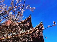 -五台山风景区