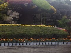 iphone_upload_pic-迎泽公园