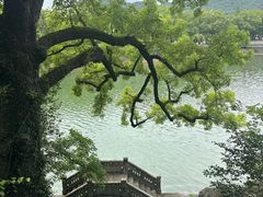 -蒋氏故居
