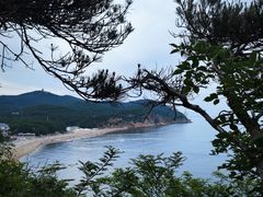-棒棰岛宾馆景区