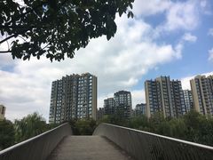 -南翔镇银翔湖公园