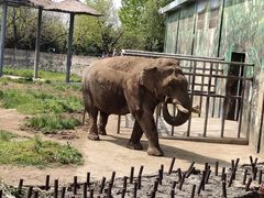 -西安秦岭野生动物园