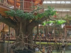 -南宫五洲植物乐园