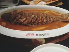 -阿五黄河大鲤鱼(英协路店)