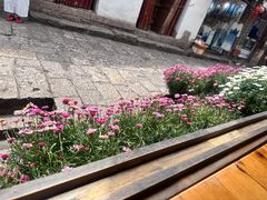 -民食香·腊排骨野生菌美食(木府店)