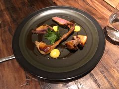 鸽子肉-EGoN