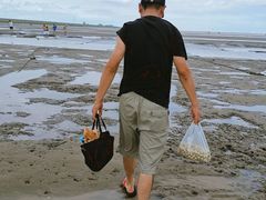 -南汇嘴观海公园