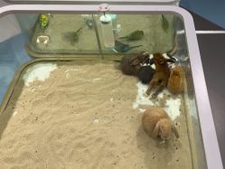 -meland亲子乐园•派对•研学(苏州悠方购物中心店)