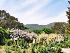 -国家植物园南园