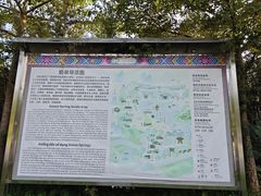 -靖西鹅泉风景区