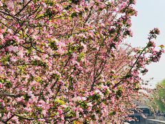 -元大都城垣遗址公园