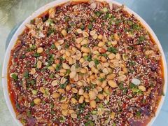 -铁山坪森林公园