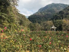 -广州市石门国家森林公园