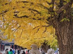 -北京石刻艺术博物馆(五塔寺)