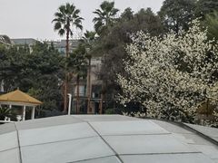 -菲鱼体育恒温游泳馆(中海名城店)