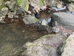 -藏龙百瀑风景区