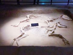 -洛阳周王城天子驾六博物馆