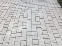 -故乡缘·香格里拉山庄(冷竹路店)