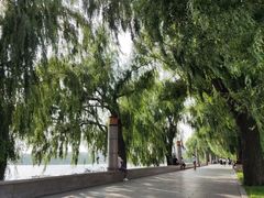 -长春市南湖公园