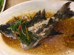 石斑鱼-琼菜王(南海店)
