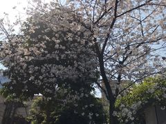 -两江幸福广场