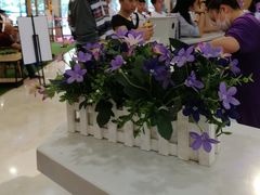景观位-一只酸奶牛(百联南岸上海城店)