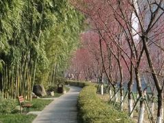 景点-望江楼公园