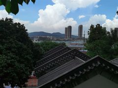 -广州神农草堂中医药博物馆