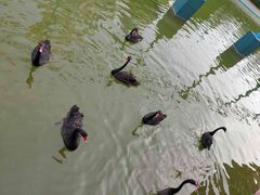 -蓬莱欧乐堡梦幻世界