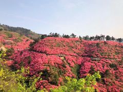 -木兰云雾山