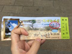 -昆明动物园
