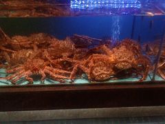 -阿伟海鲜楼·福建菜(延寿店)