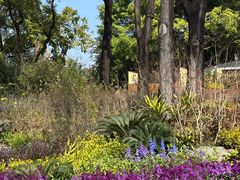-云溪植物园