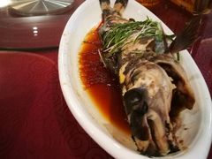 -龙达温泉生态城
