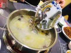 -金龙·打边炉(武进路店)