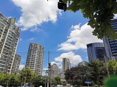 -青花椒花椒鱼(合生汇店)