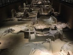 -洛阳周王城天子驾六博物馆