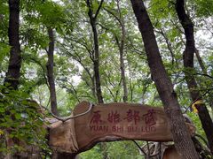 -大青沟风景区
